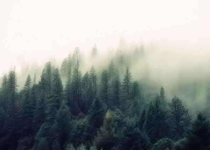 免费ddos攻击网页端