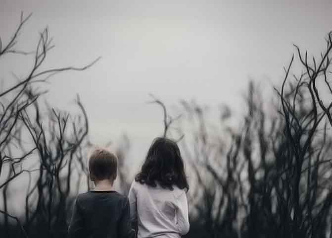 【最新版2024】完全免费的网页在线DDOS压力测试